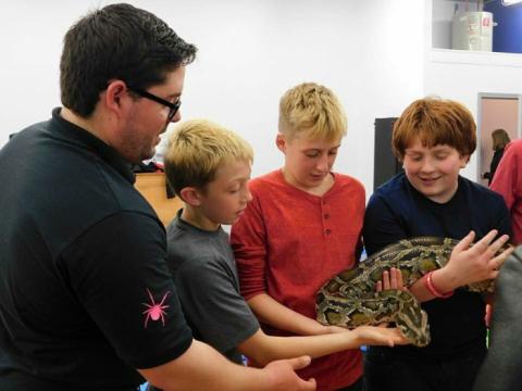 Handler for Crosstown Exotics with three boys holding on to a large green python